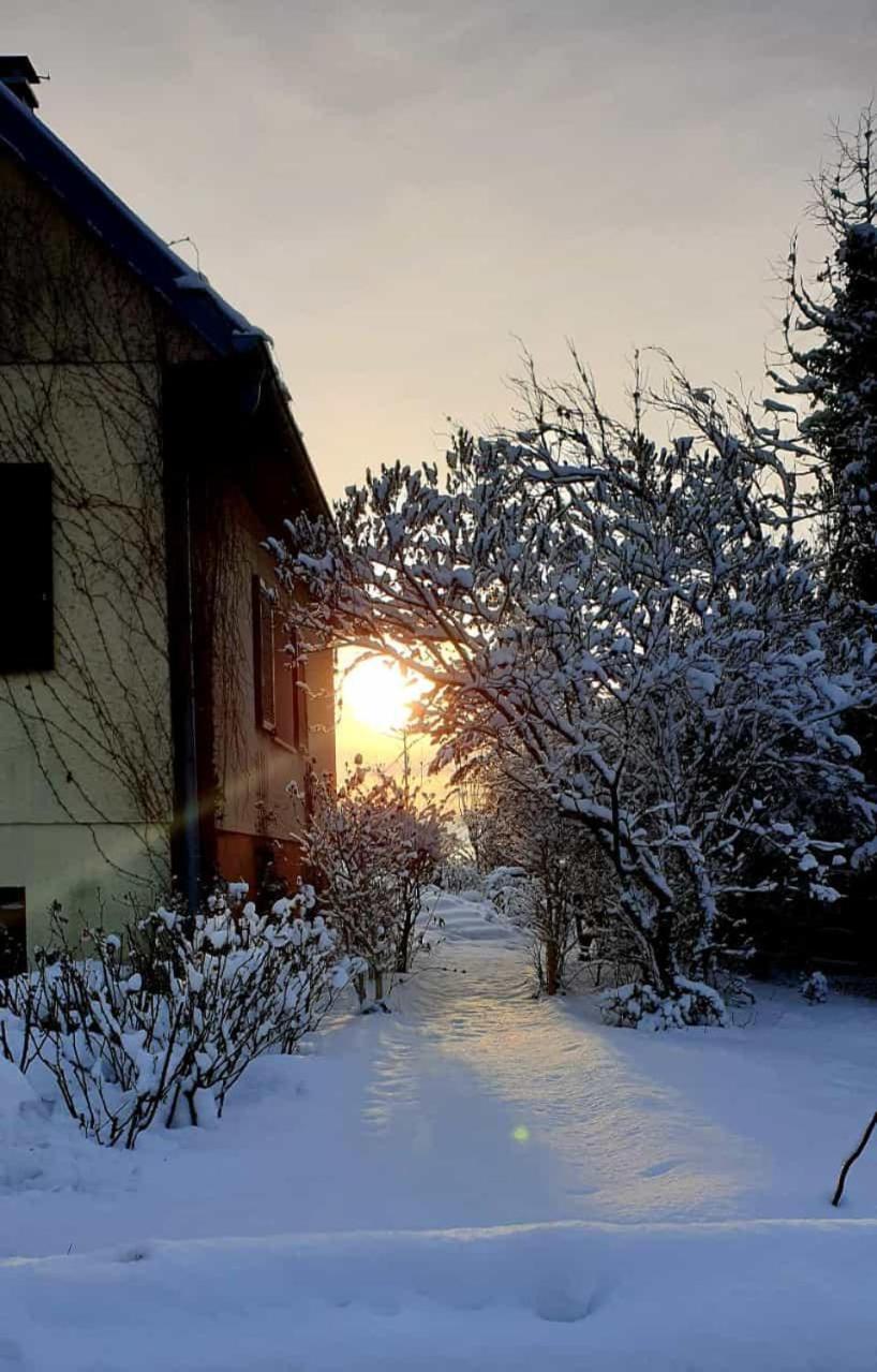 La Maison Des Roses Drachenbronn-Birlenbach Zewnętrze zdjęcie